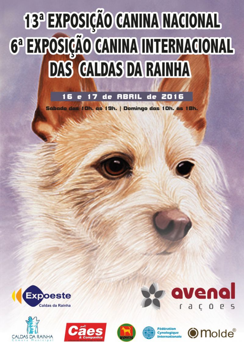 13 EXPOSIO CANINA NACIONAL DAS CALDAS DA RAINHA/6 EXPOSIO CANINA INTERNACIONAL DAS CALDAS DA RAINHA